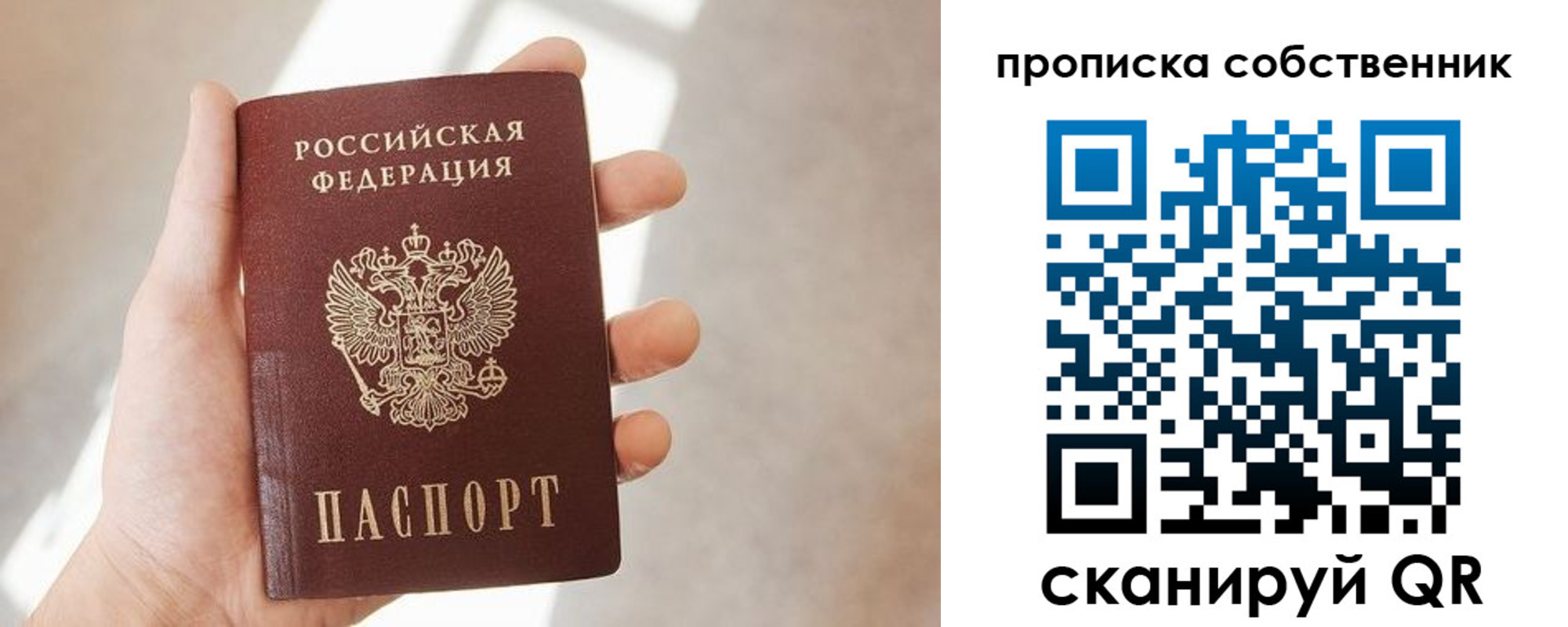 прописка иностранных граждан в Полярных Зорях