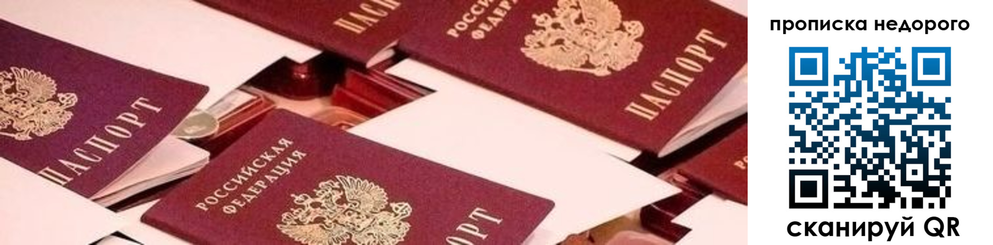 временная прописка в Полярных Зорях